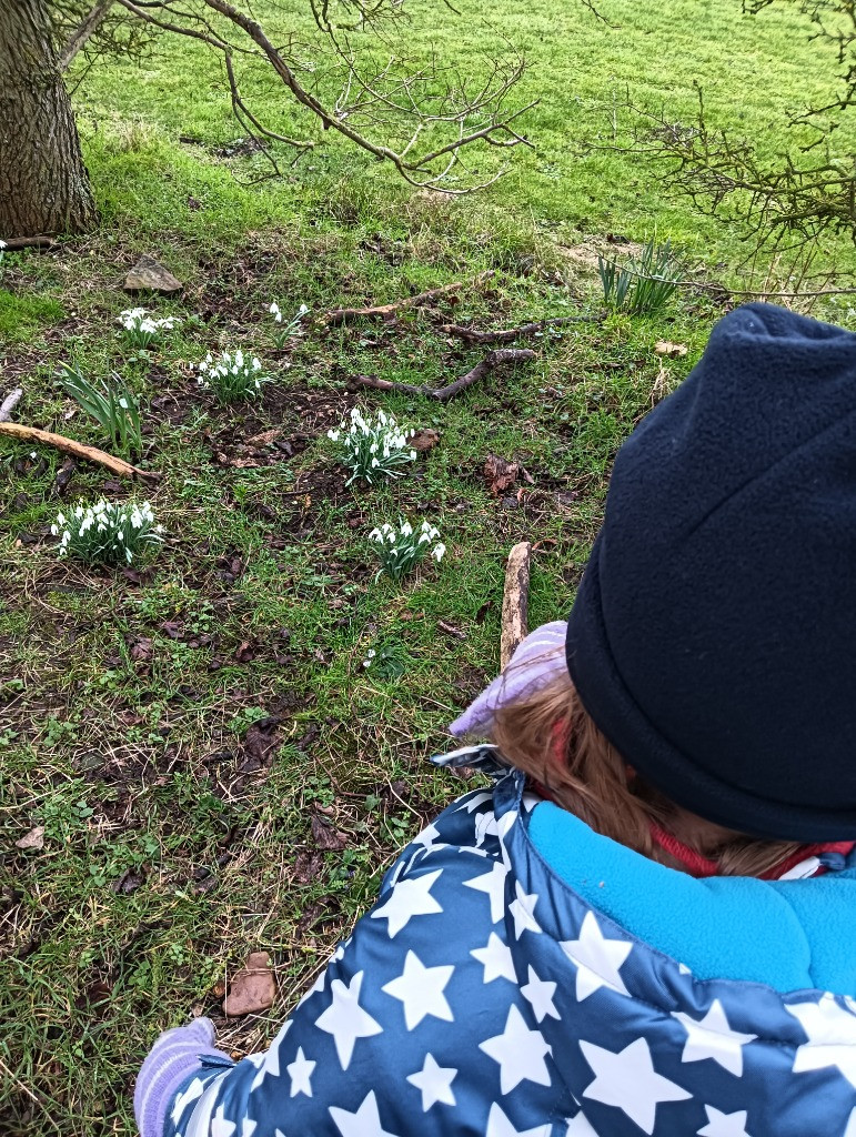 Looking for signs of Spring, Copthill School