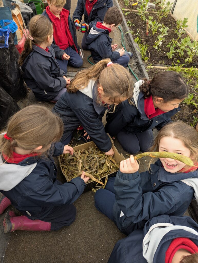 Spring is in the air!, Copthill School