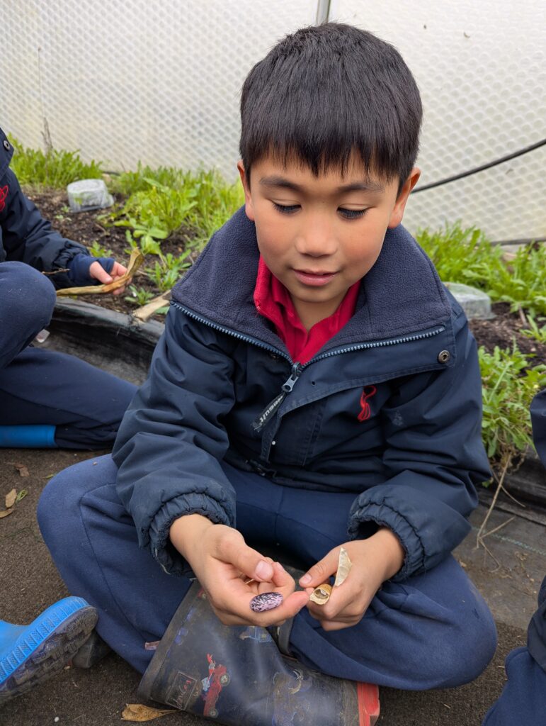 Spring is in the air!, Copthill School