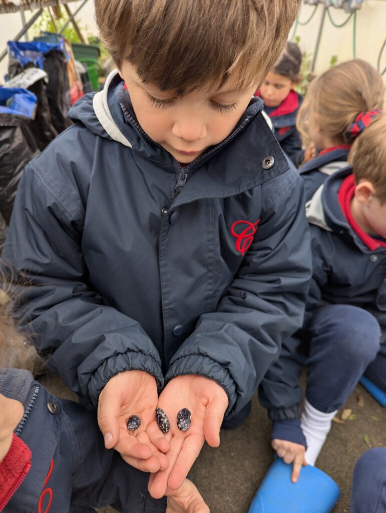 Spring is in the air!, Copthill School