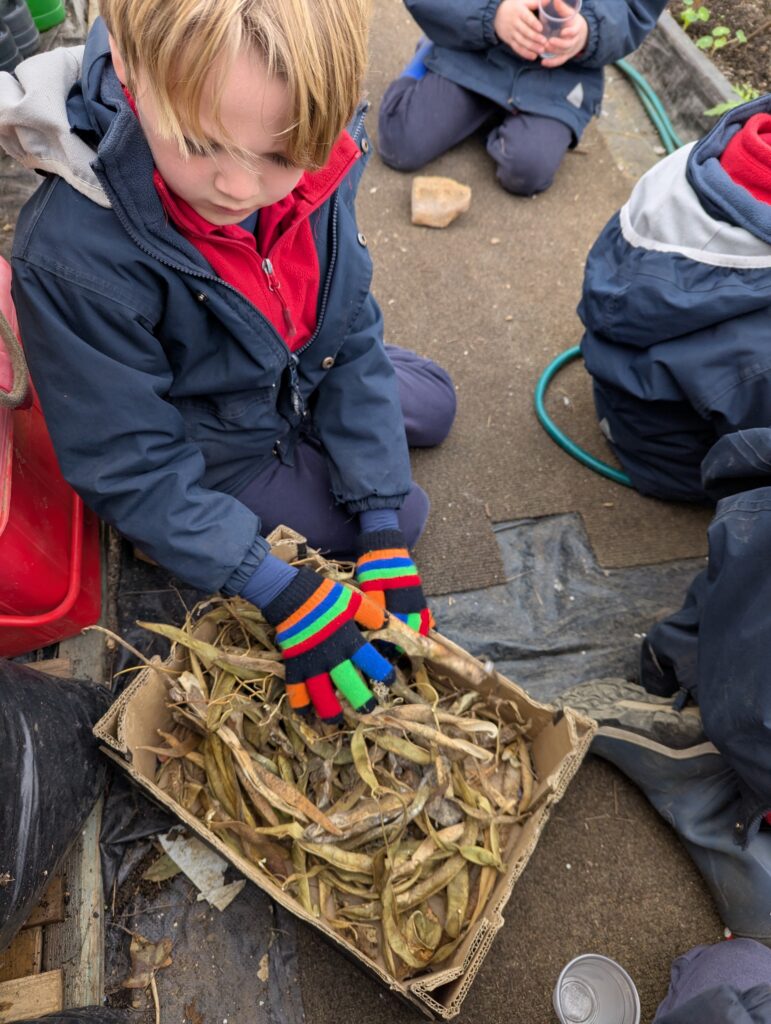 Spring is in the air!, Copthill School