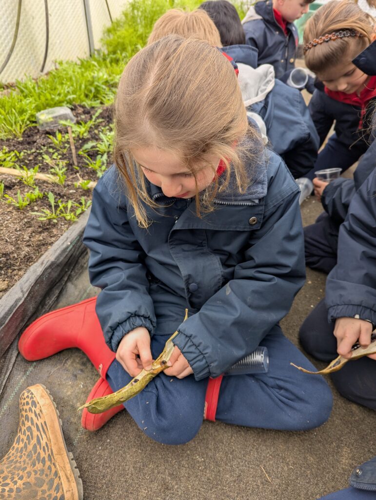 Spring is in the air!, Copthill School