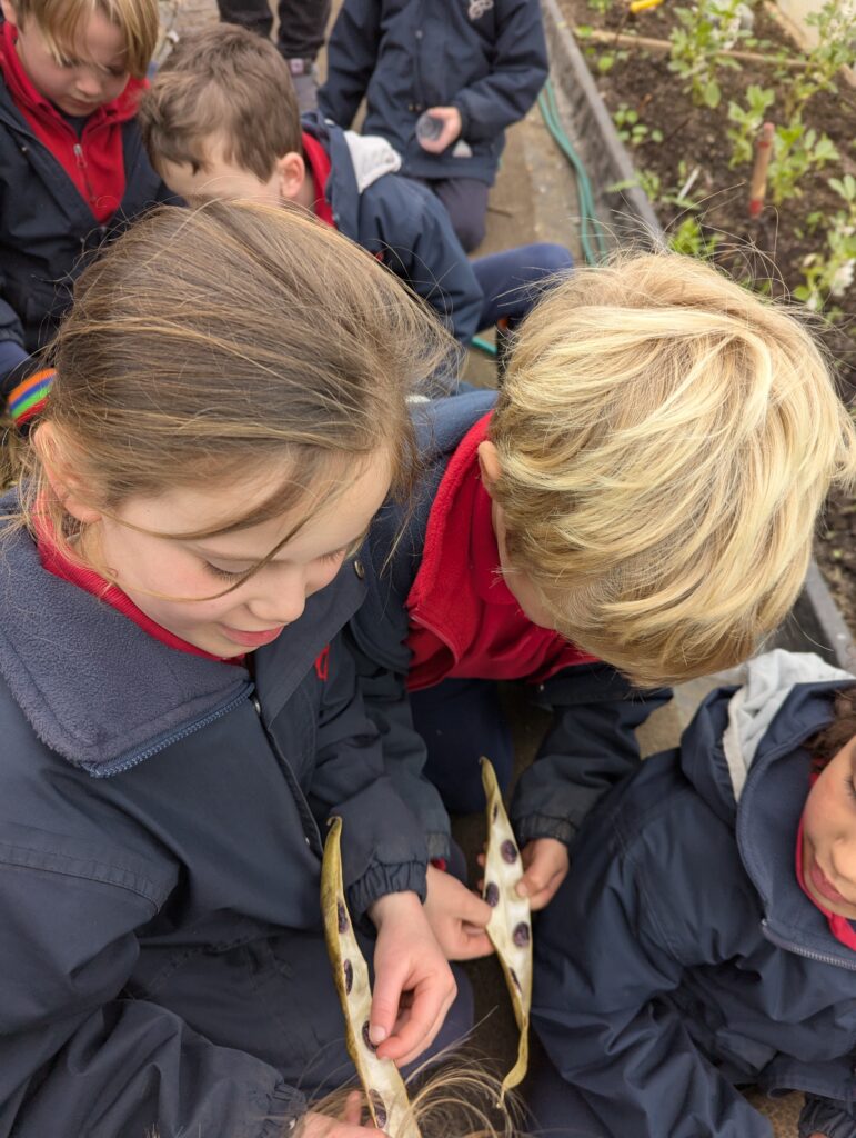 Spring is in the air!, Copthill School