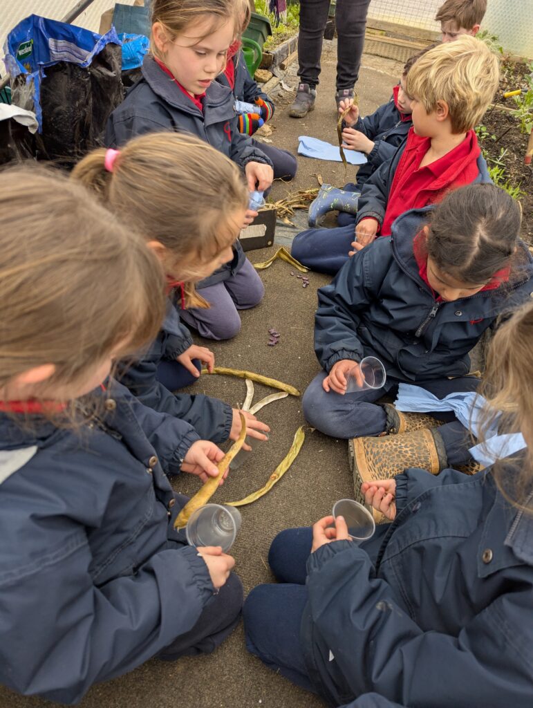 Spring is in the air!, Copthill School