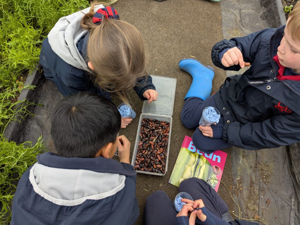 Spring is in the air!, Copthill School