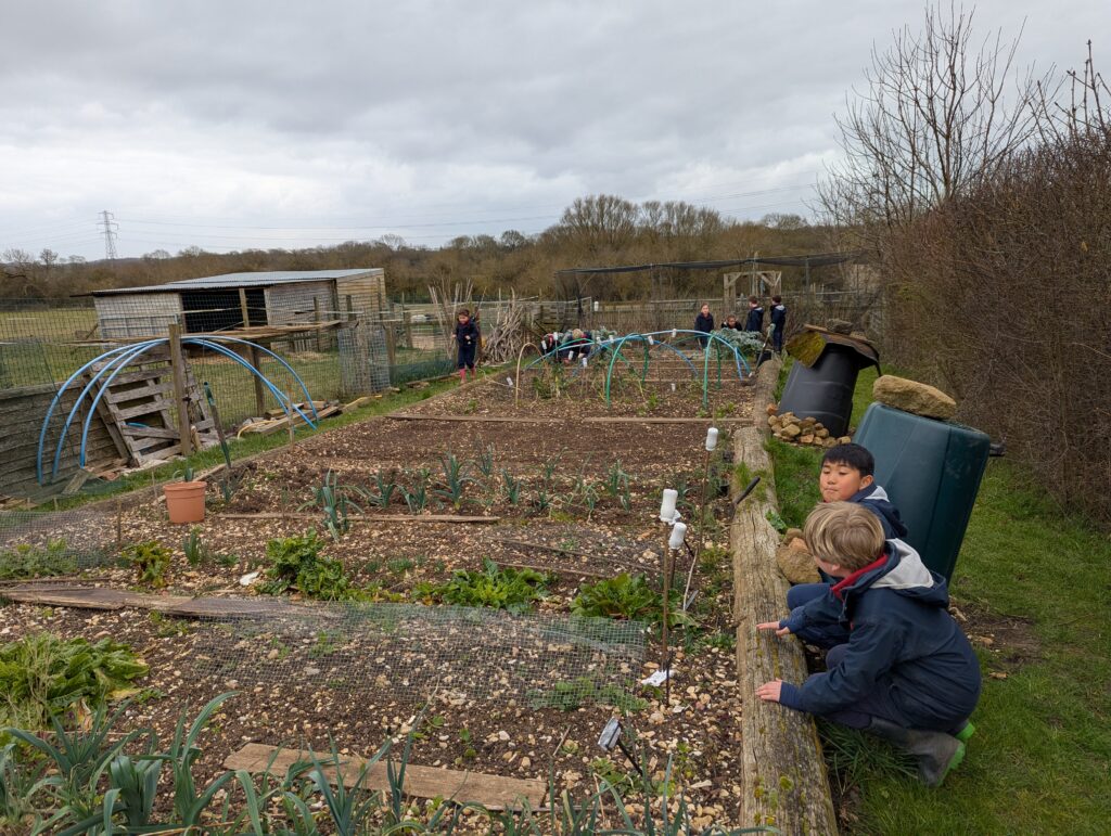 Spring is in the air!, Copthill School