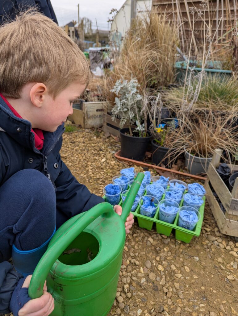 Spring is in the air!, Copthill School