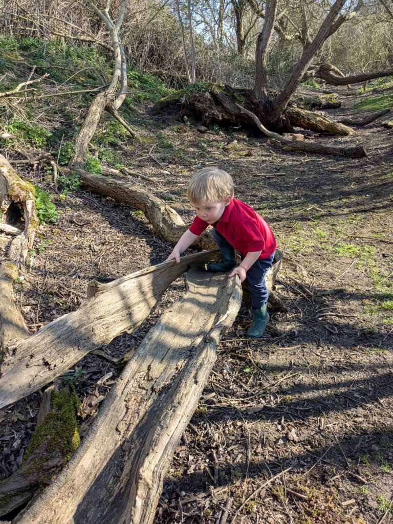 Spring has sprung!, Copthill School