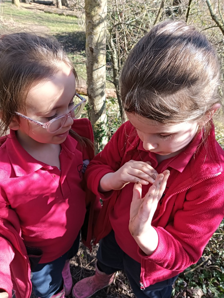 Making Fairy Folk and Woodland Houses, Copthill School