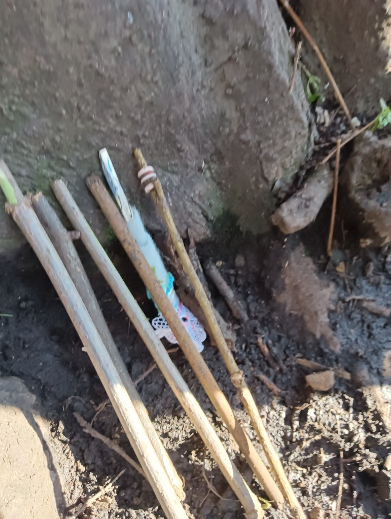 Making Fairy Folk and Woodland Houses, Copthill School