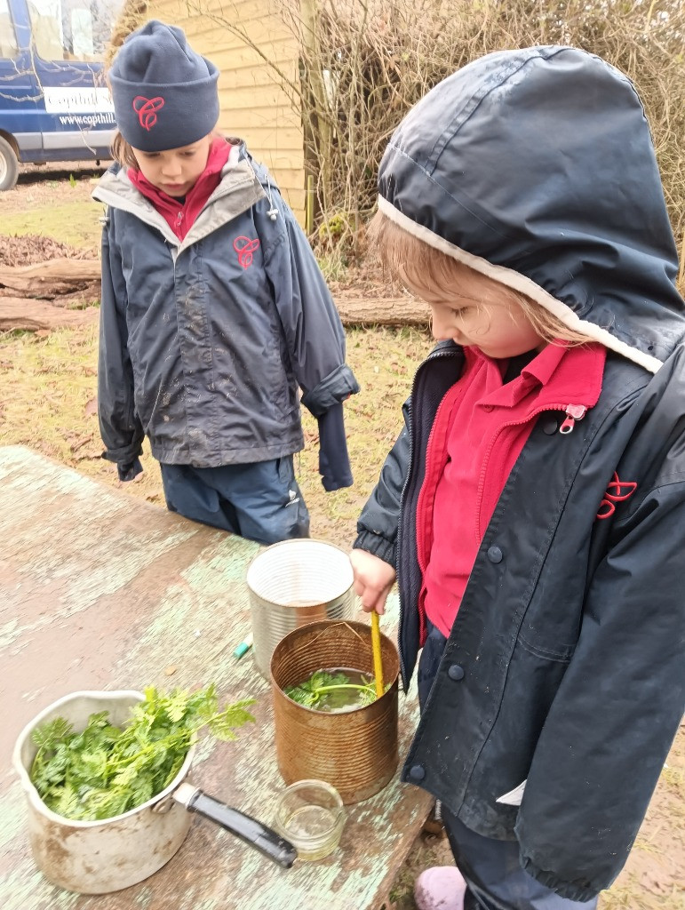 Making Fairy Potions, Copthill School