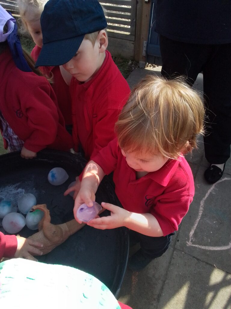 Dinosaur Eggs, Copthill School
