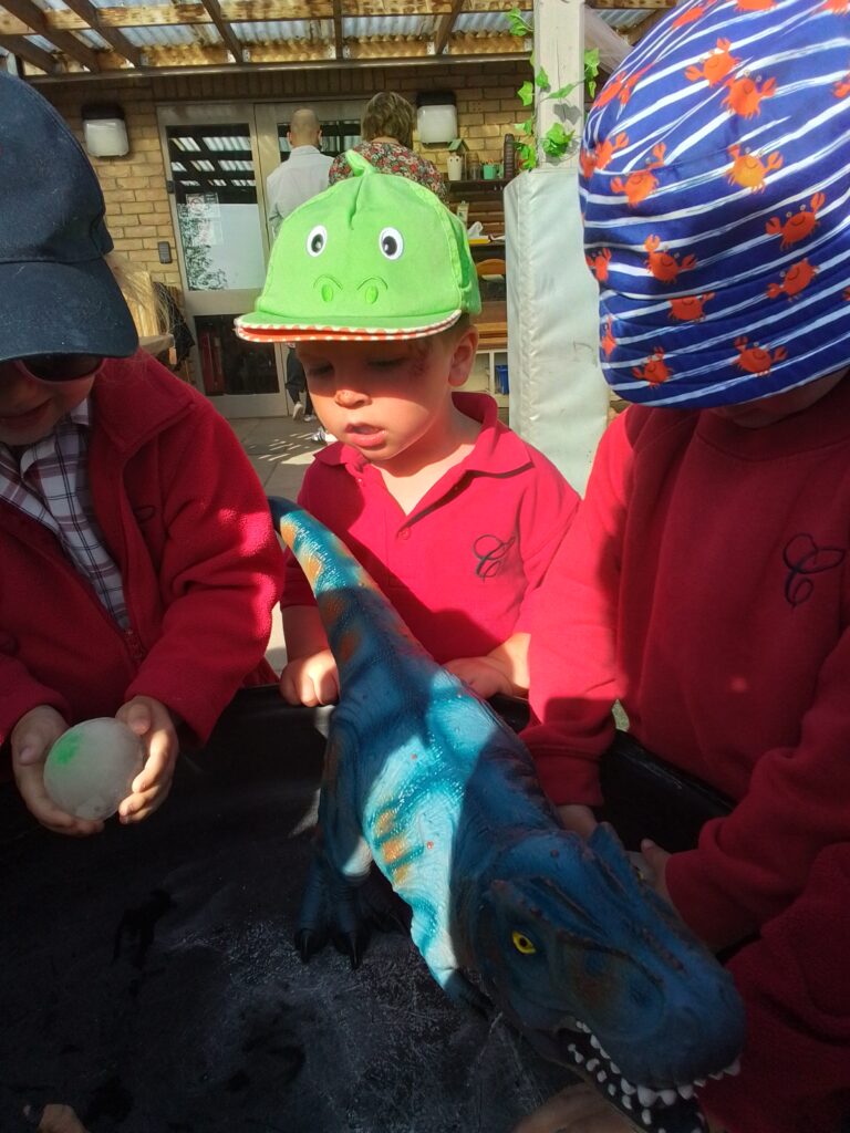 Dinosaur Eggs, Copthill School