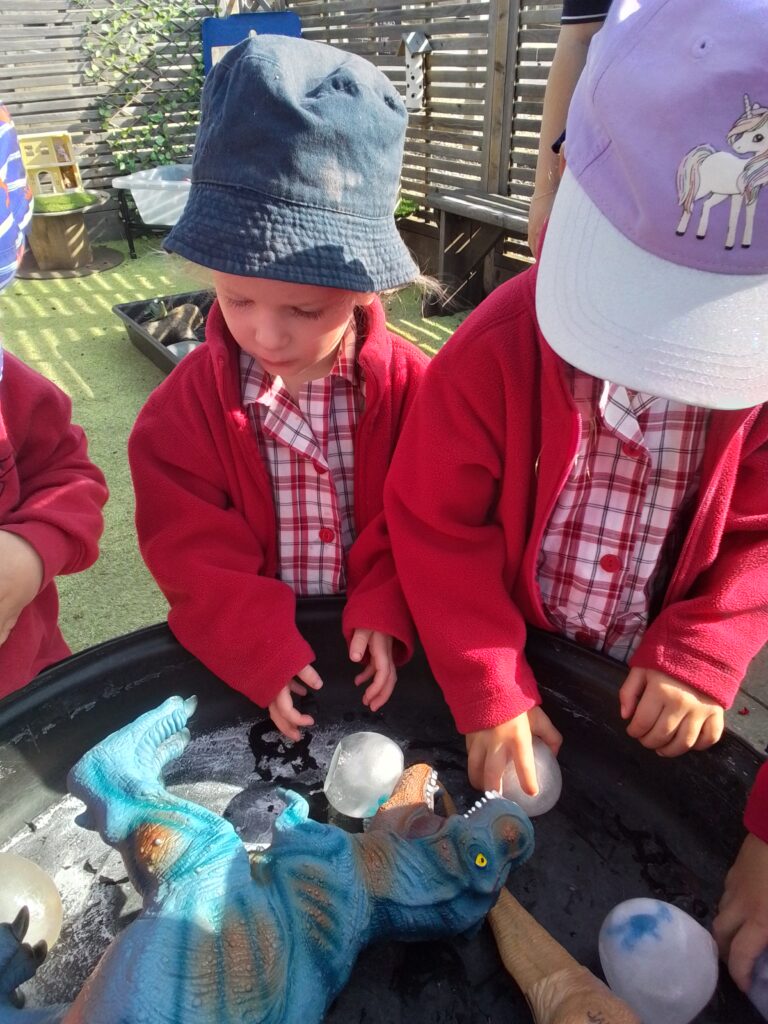 Dinosaur Eggs, Copthill School