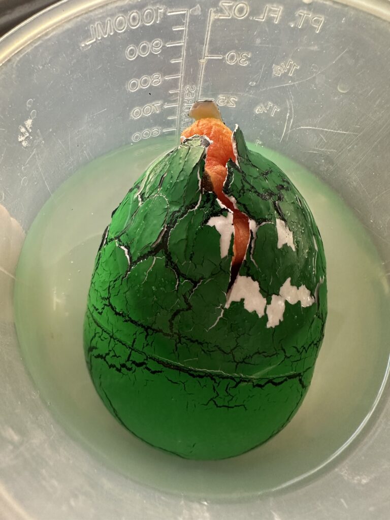Dinosaur Eggs, Copthill School