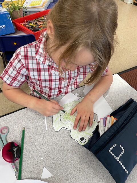 Frog weaving, Copthill School