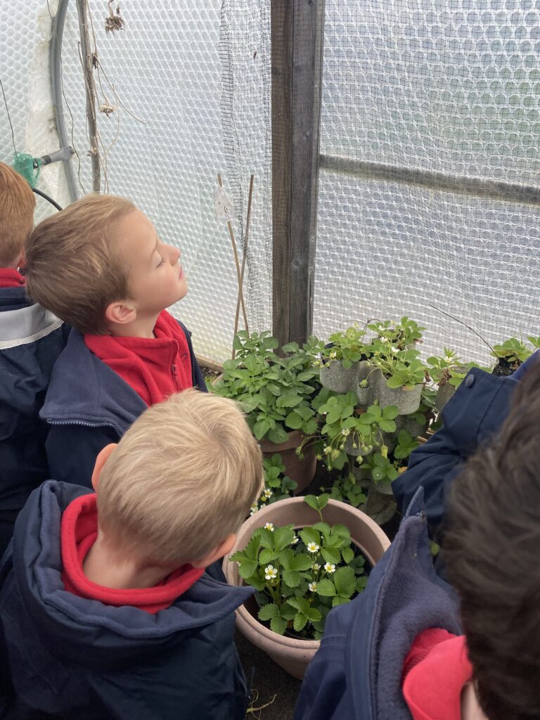Nice to see you to see you… truly delightful!, Copthill School