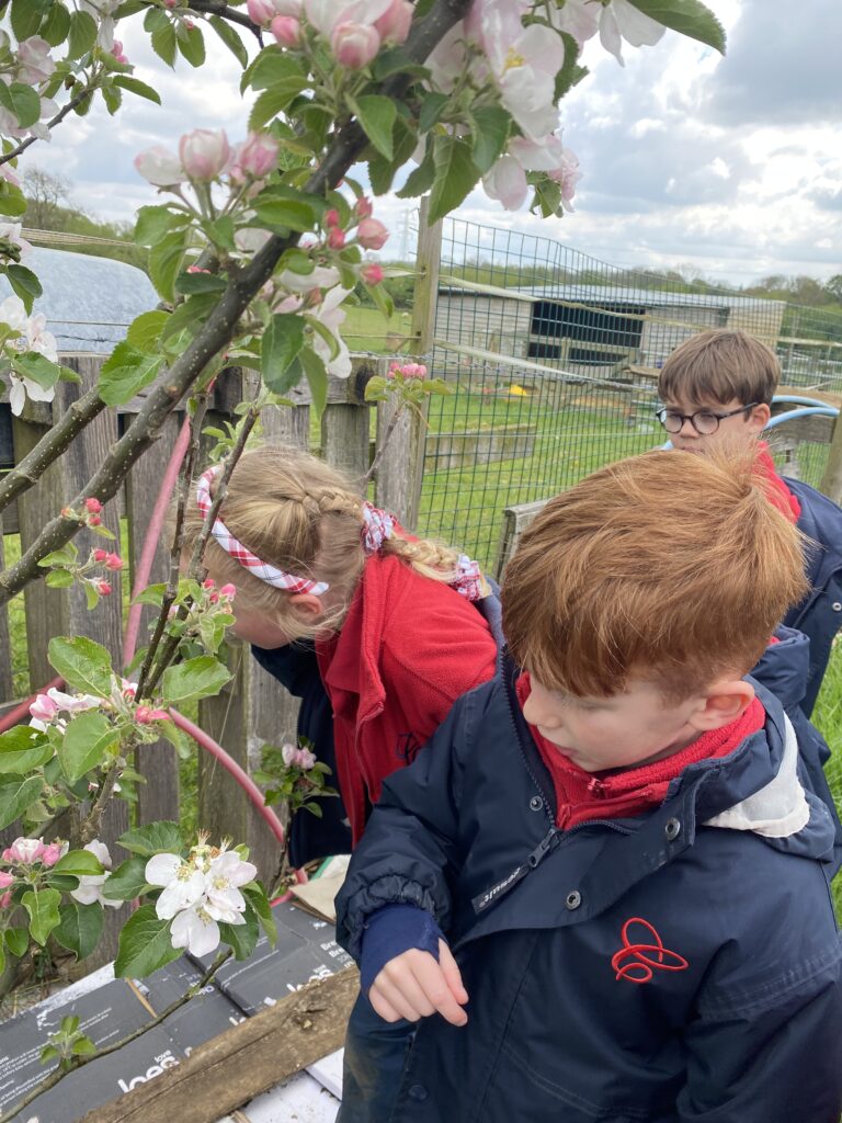 Nice to see you to see you… truly delightful!, Copthill School