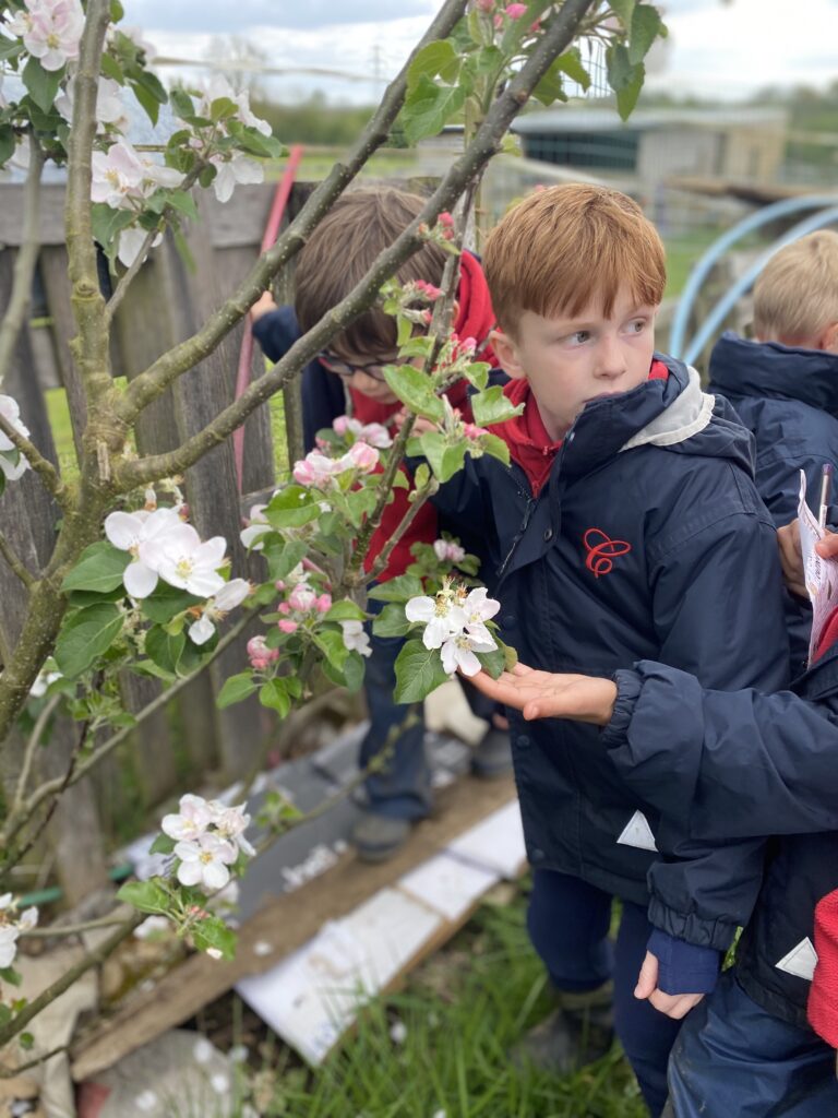 Nice to see you to see you… truly delightful!, Copthill School