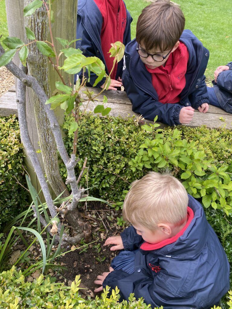 Nice to see you to see you… truly delightful!, Copthill School