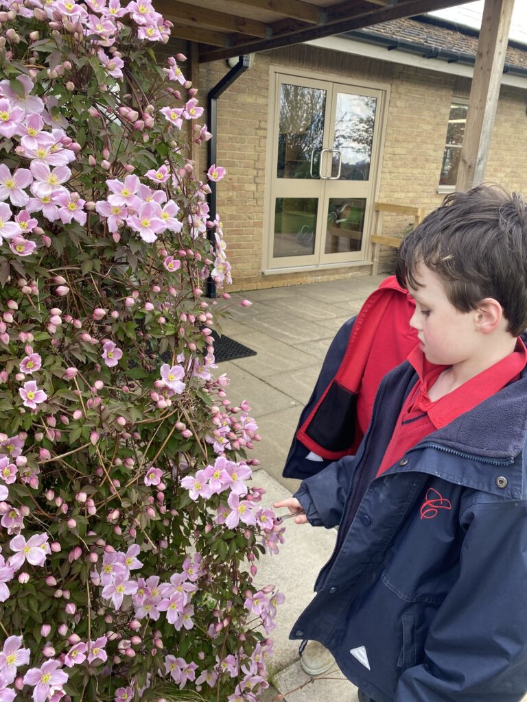 Nice to see you to see you… truly delightful!, Copthill School