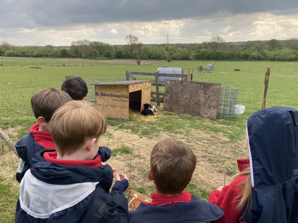 Nice to see you to see you… truly delightful!, Copthill School