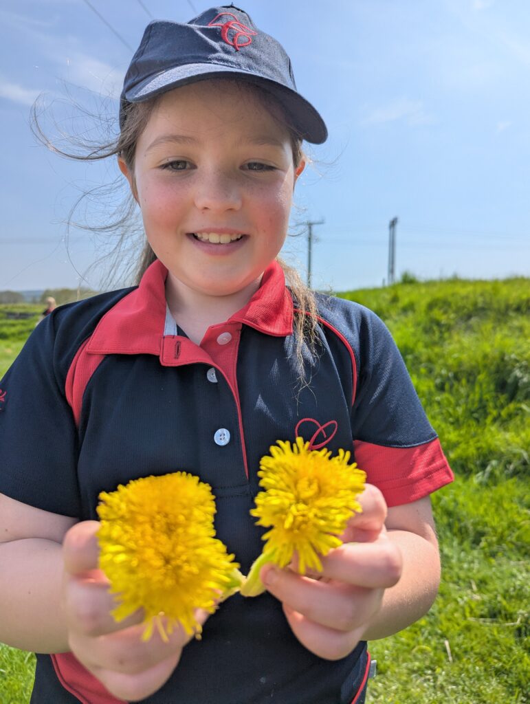 Dandelions Galore!, Copthill School
