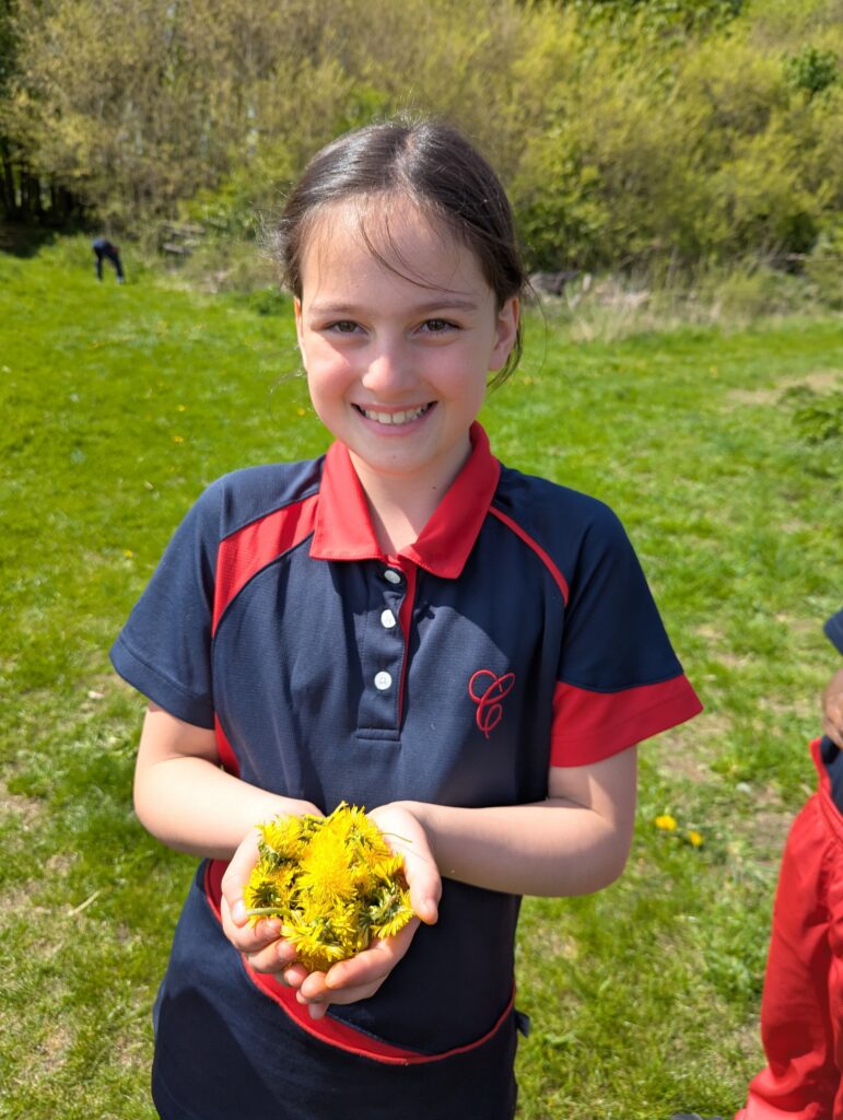 Dandelions Galore!, Copthill School