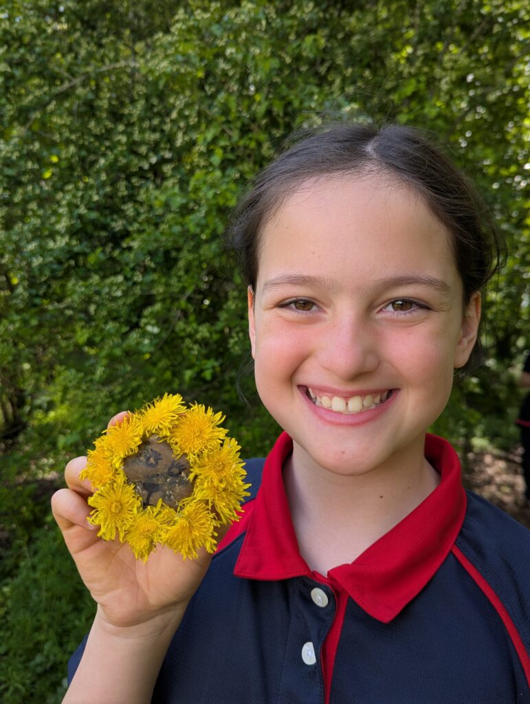 Dandelions Galore!, Copthill School