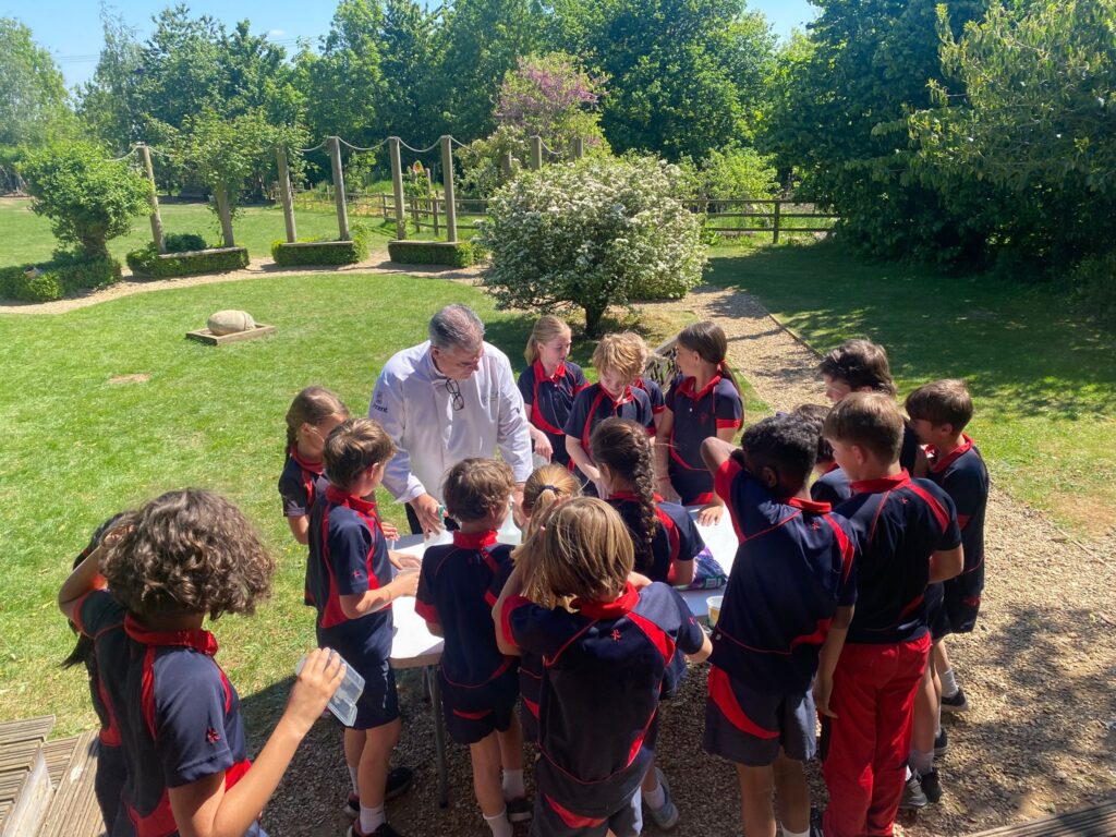 Mircro Farm Workshop for Year 5, Copthill School
