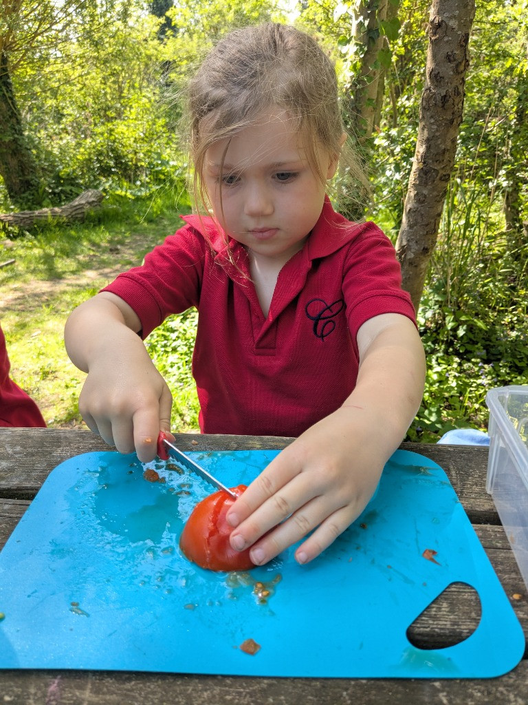 Wild Little Chefs 🧑🍳 , Copthill School
