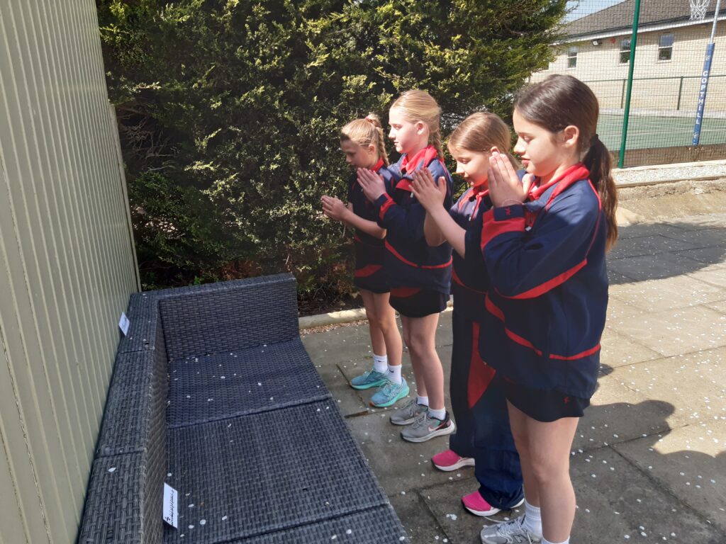 Outside Ostinato, Copthill School