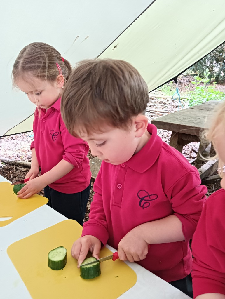 Wild Little Chefs 🧑🍳 , Copthill School