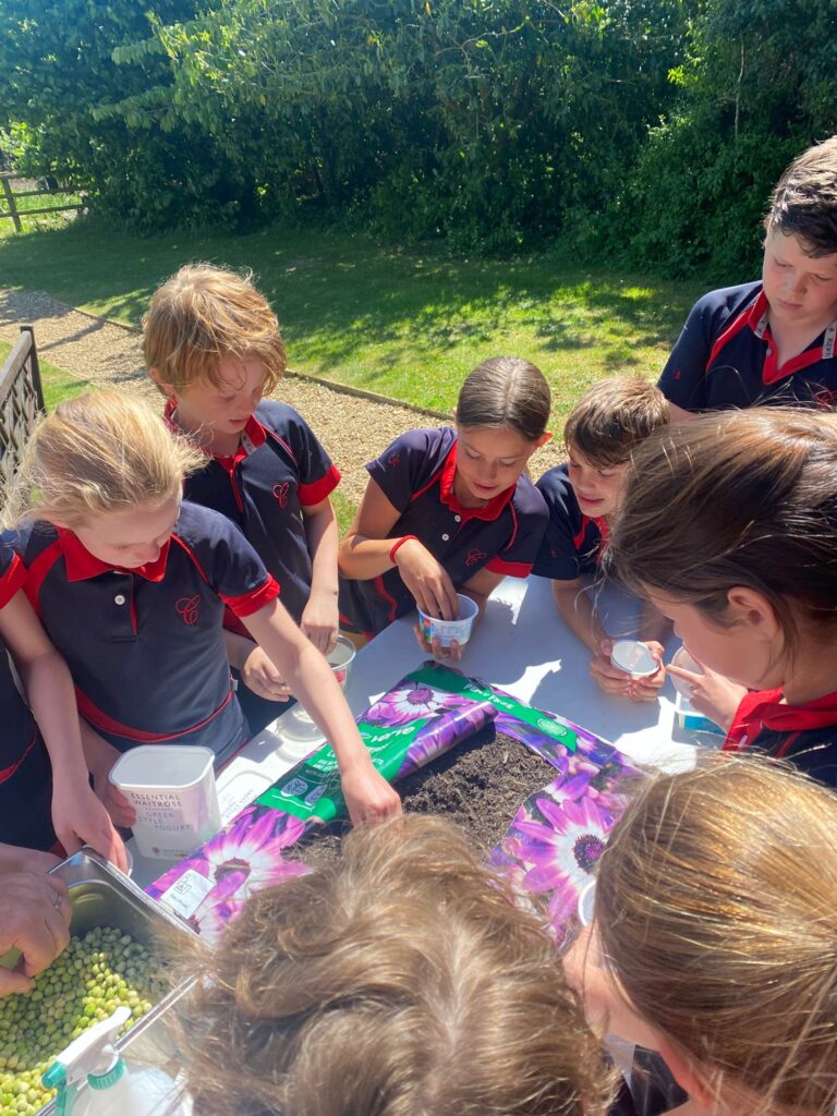 Mircro Farm Workshop for Year 5, Copthill School