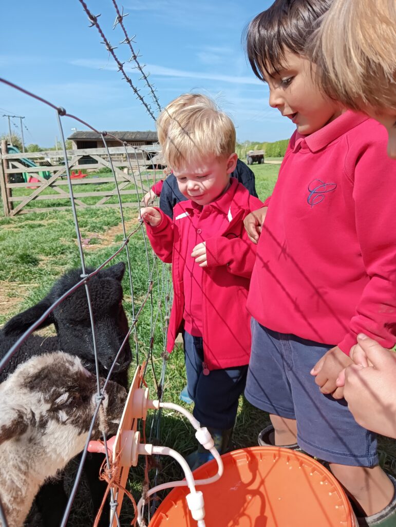 Fun in the Sun, Copthill School