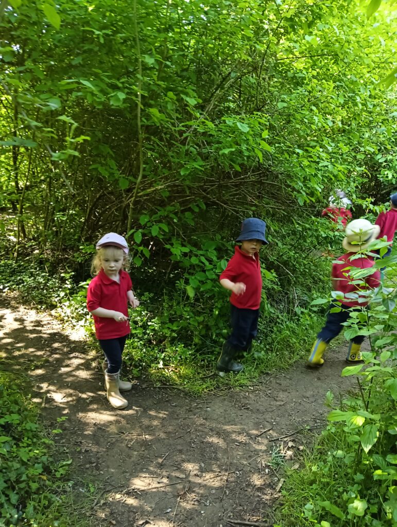 Fun in the Sun, Copthill School