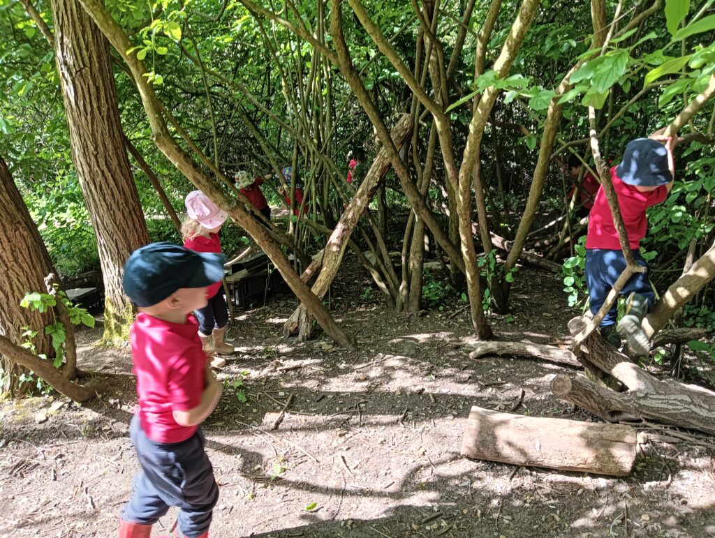 Fun in the Sun, Copthill School