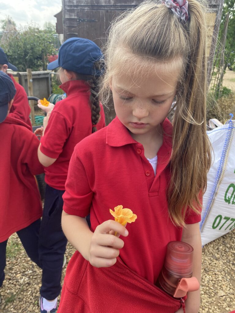 Bee utiful!, Copthill School