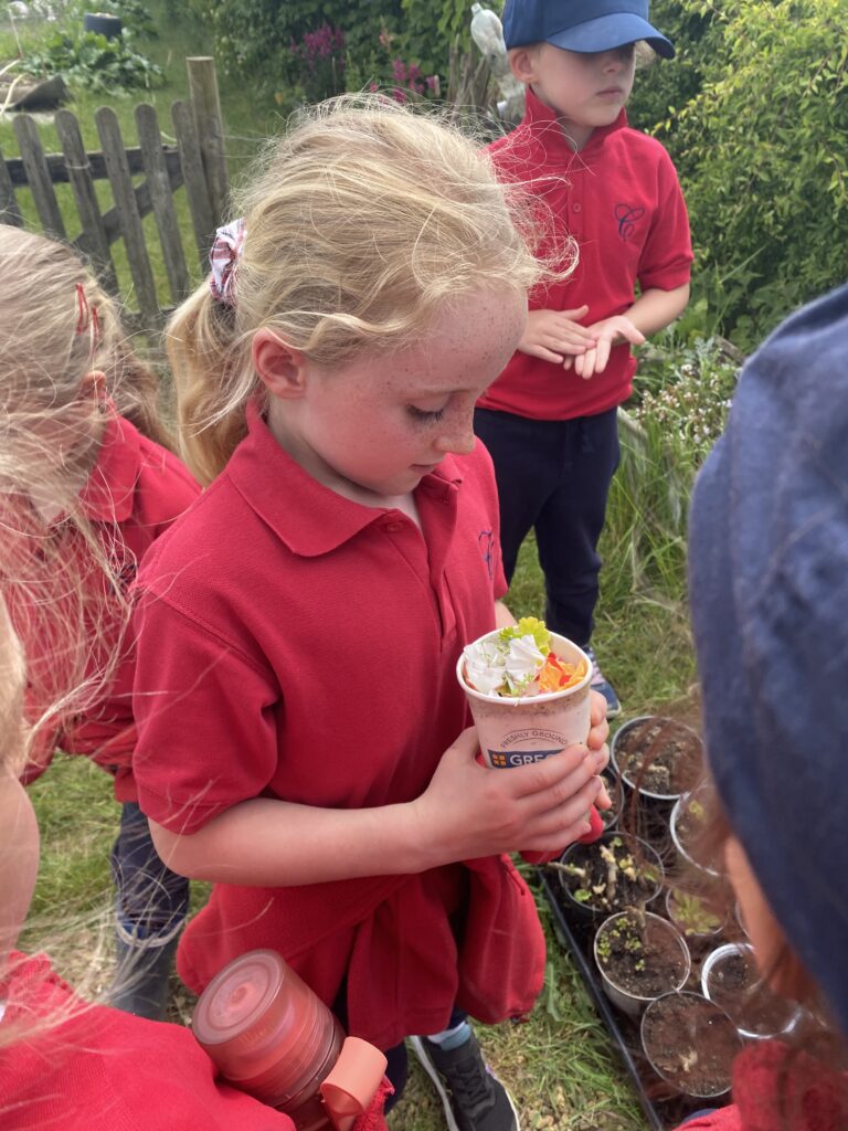 Bee utiful!, Copthill School