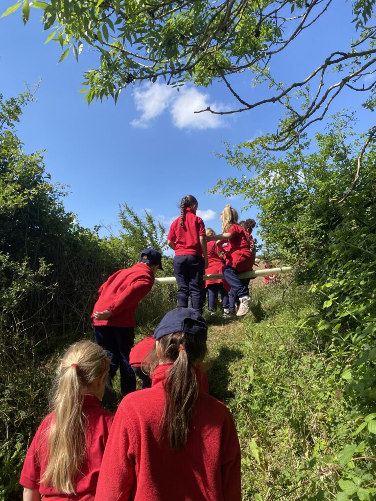 Bee utiful!, Copthill School