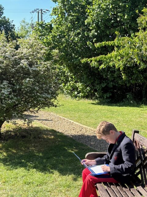 Y6 spellings in the sunshine, Copthill School