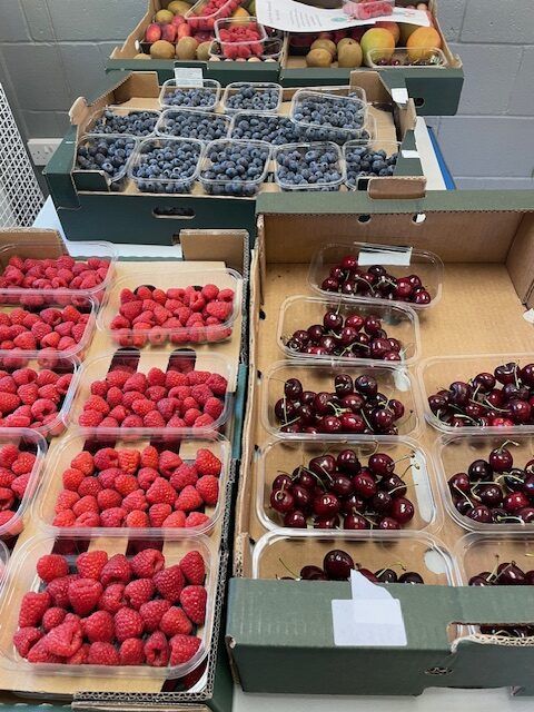 Fruits from Around the World!, Copthill School