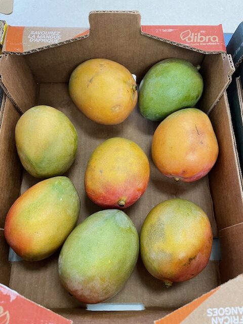 Fruits from Around the World!, Copthill School