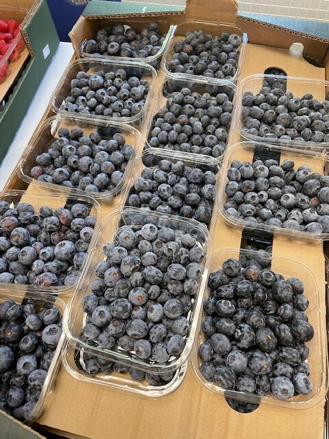 Fruits from Around the World!, Copthill School