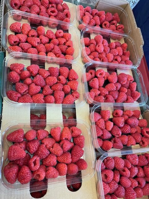 Fruits from Around the World!, Copthill School