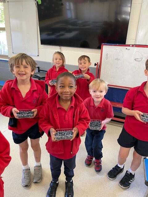 Fruits from Around the World!, Copthill School
