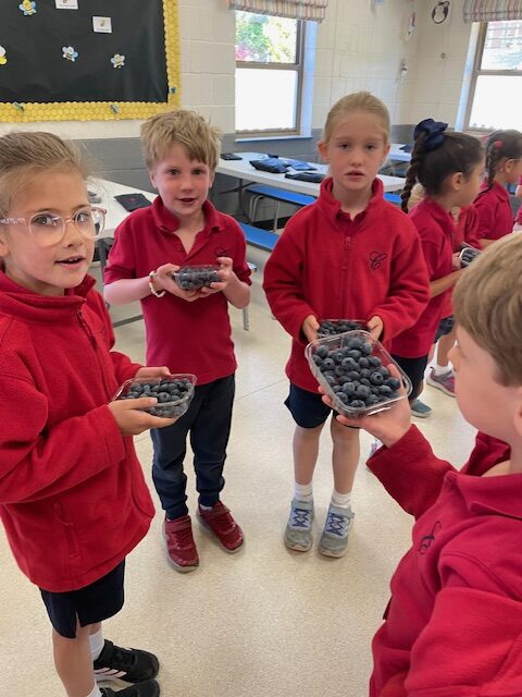Fruits from Around the World!, Copthill School