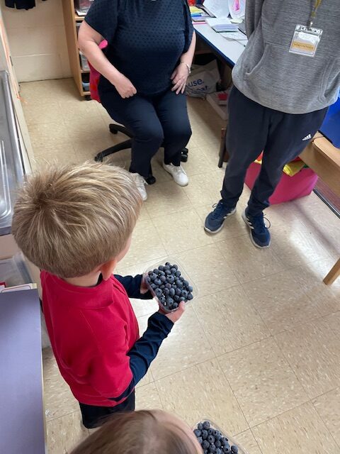 Fruits from Around the World!, Copthill School