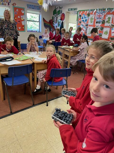 Fruits from Around the World!, Copthill School