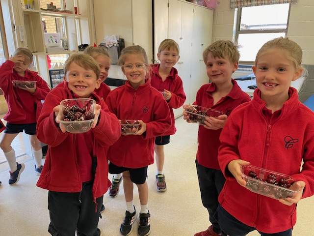 Fruits from Around the World!, Copthill School
